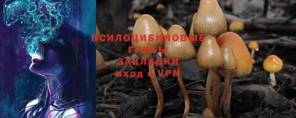 скорость Алзамай